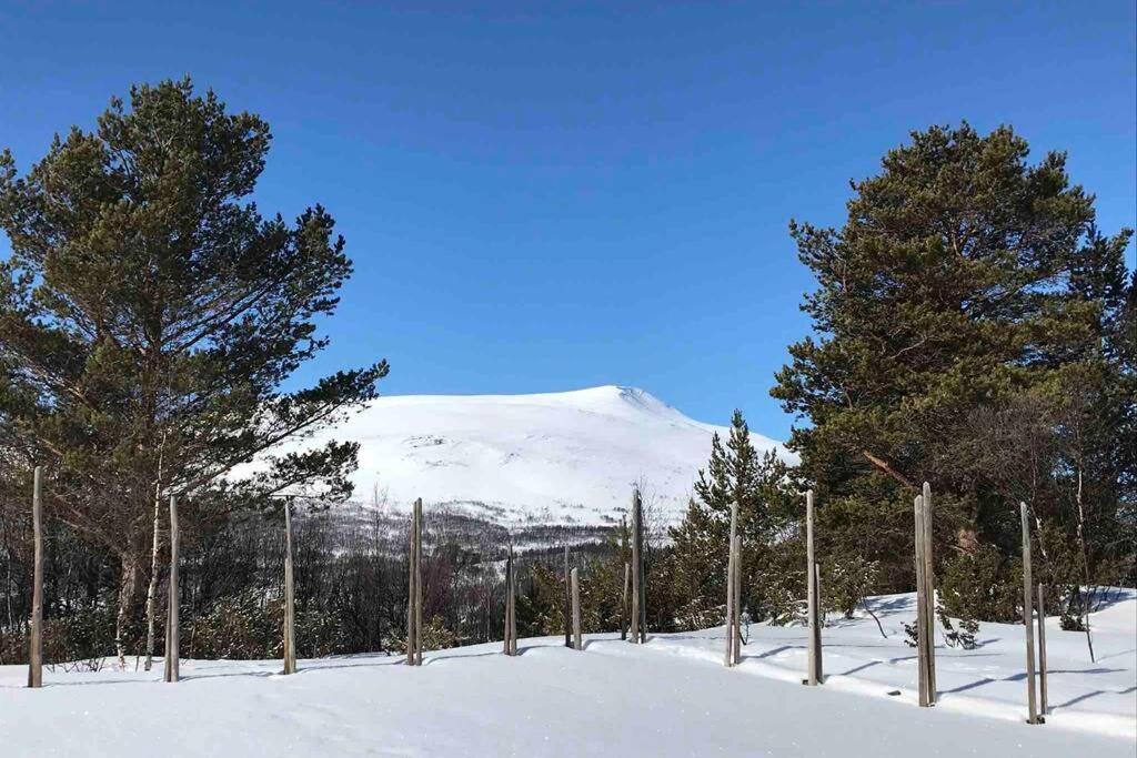 Fjellro Mountain Cabin Oppdal Exterior photo